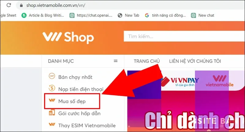 0528 là mạng gì? Có nên sử dụng SIM đầu số 0528?