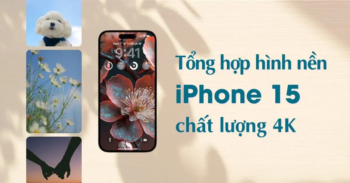 20+ hình nền iPhone 15 và iPhone 15 Promax 4K hot nhất 2023