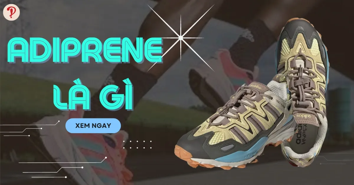 Adiprene là gì? 5 mẫu giày adidas trang bị công nghệ Adiprene