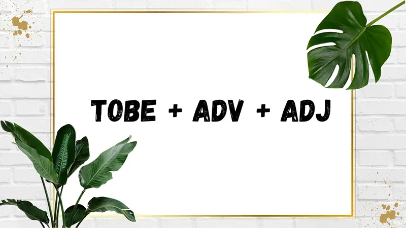 Adv là gì? Cách nhận biết, cách dùng trạng từ adv trong tiếng Anh