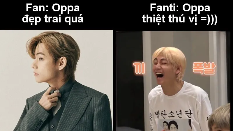 Akgae, Sasaeng, Fan only, Fanti, Non-fan là gì? Phân biệt các fan Kpop