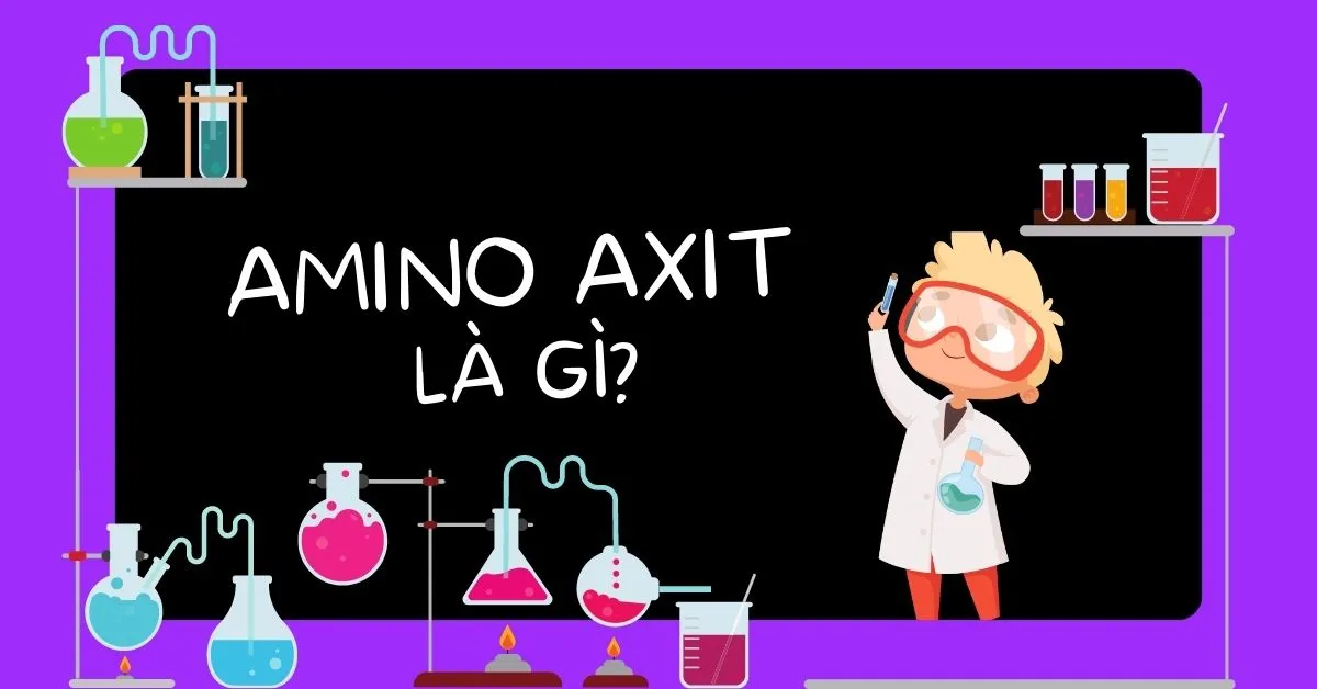 Amino axit là gì? Công thức, phân loại và vai trò của amino axit