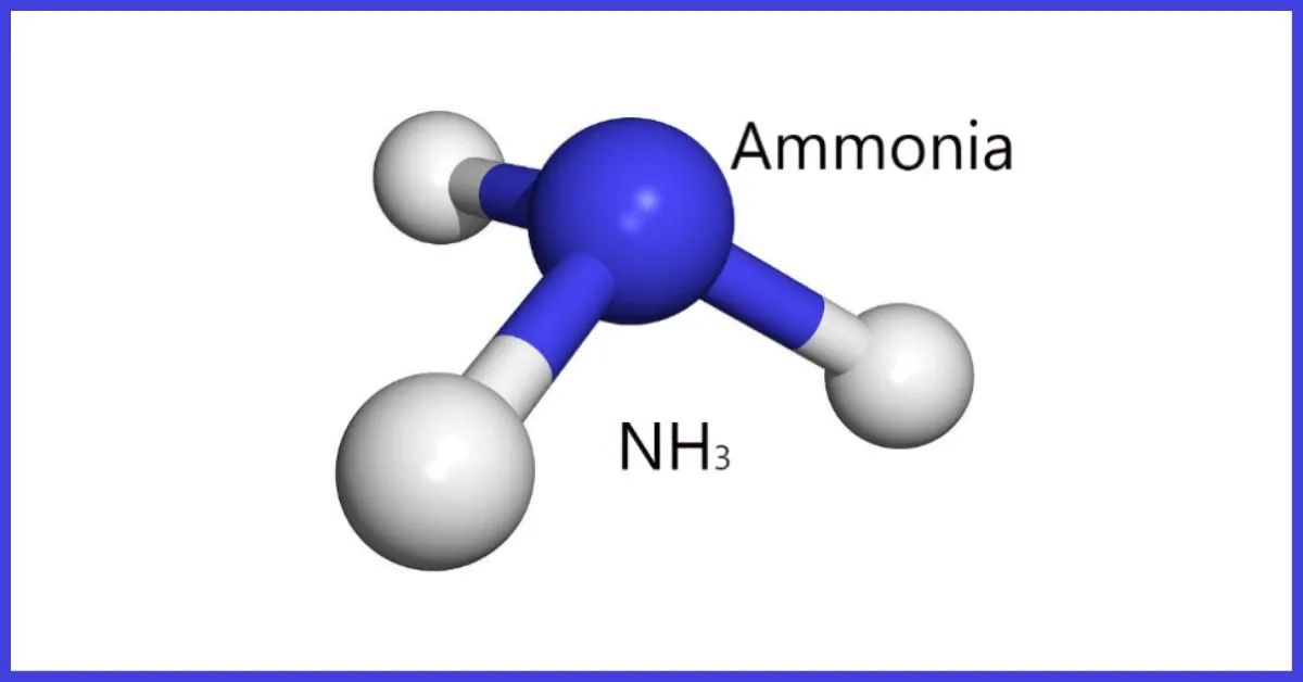 Amoniac là chất gì? Cấu tạo phân tử, Điều chế và Ứng dụng của amoniac