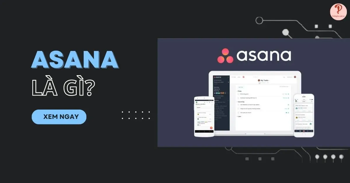 Asana là gì? Đối tượng sử dụng, ưu nhược điểm của Asana