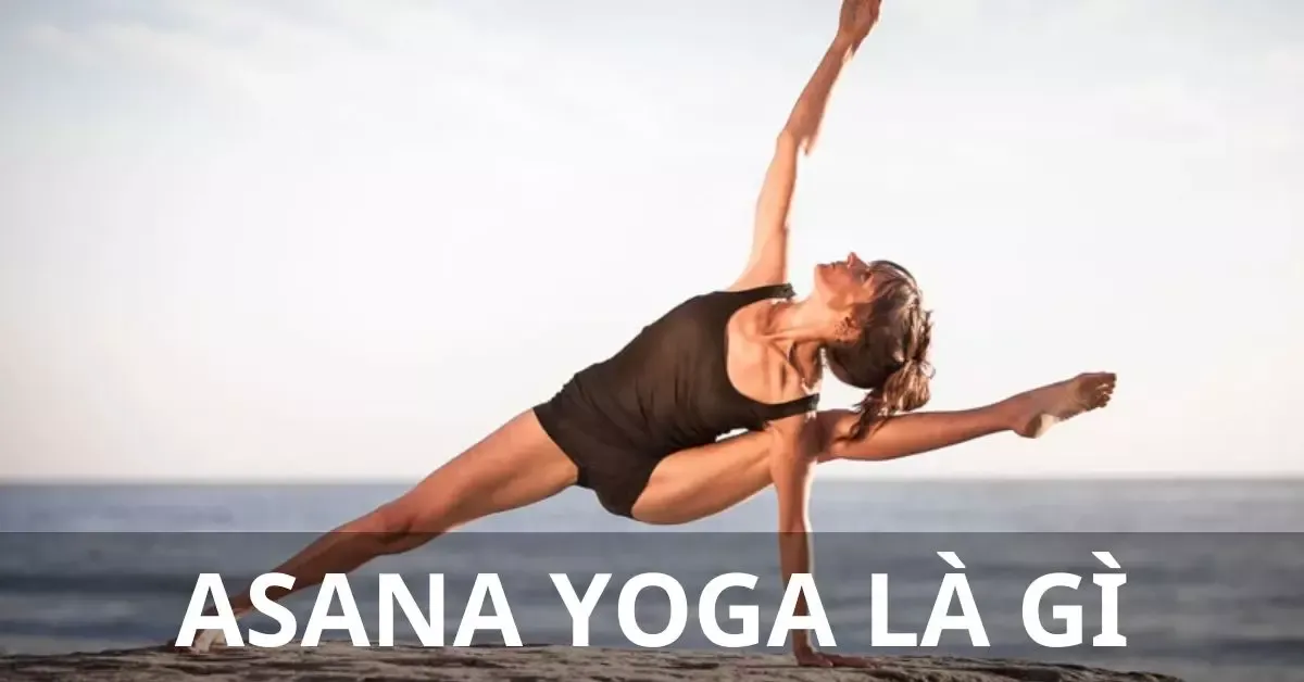 Asana yoga là gì? Tác dụng và bài tập asana yoga hiệu quả nhất