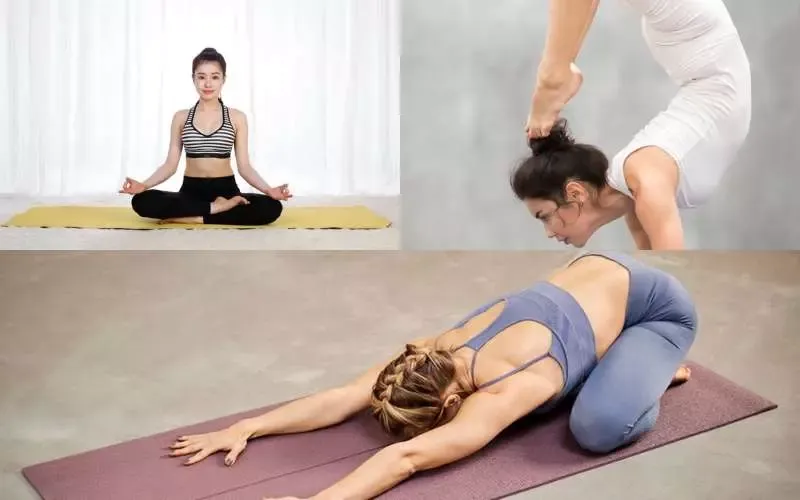 Asana yoga là gì? Tác dụng và bài tập asana yoga hiệu quả nhất