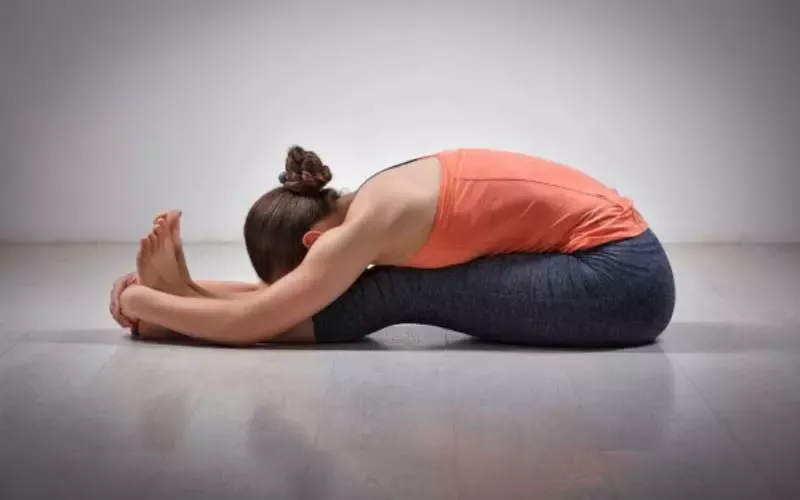 Asana yoga là gì? Tác dụng và bài tập asana yoga hiệu quả nhất