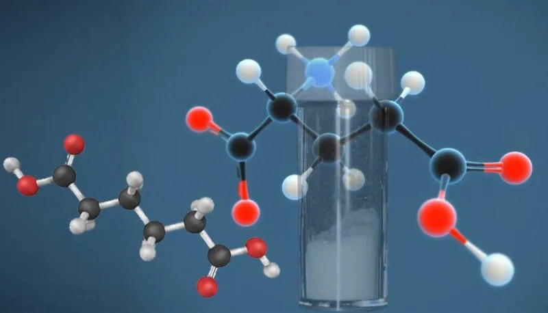 Axit glutamic là gì? Tính chất, Công dụng và Bài tập