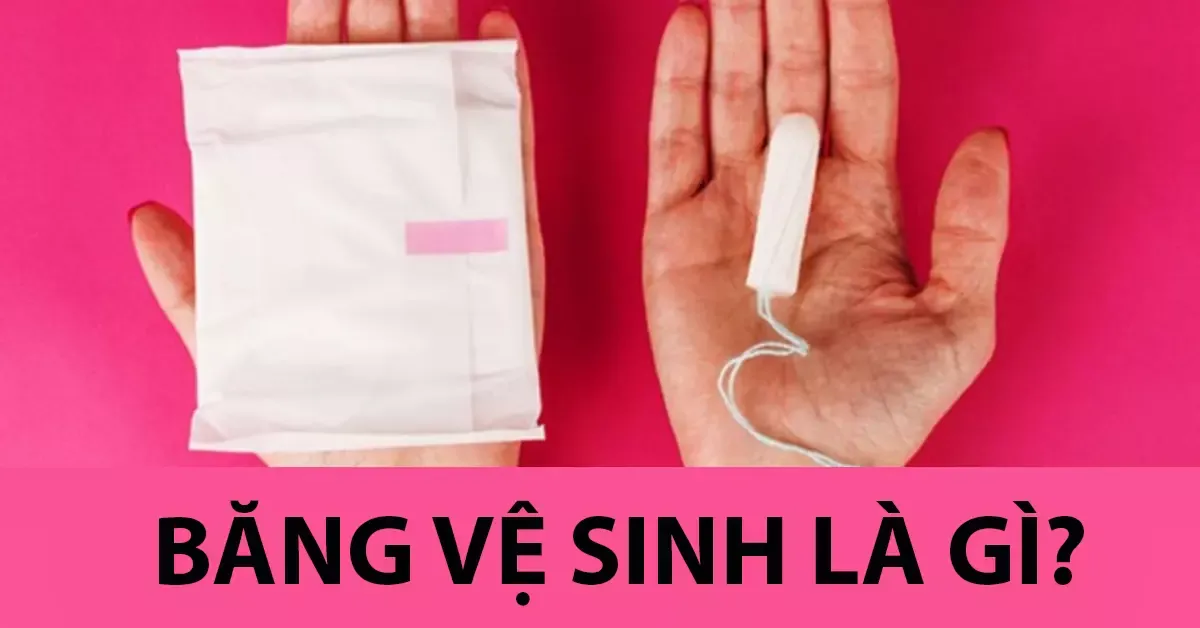 Băng vệ sinh là gì? 7 công dụng bất ngờ của băng vệ sinh