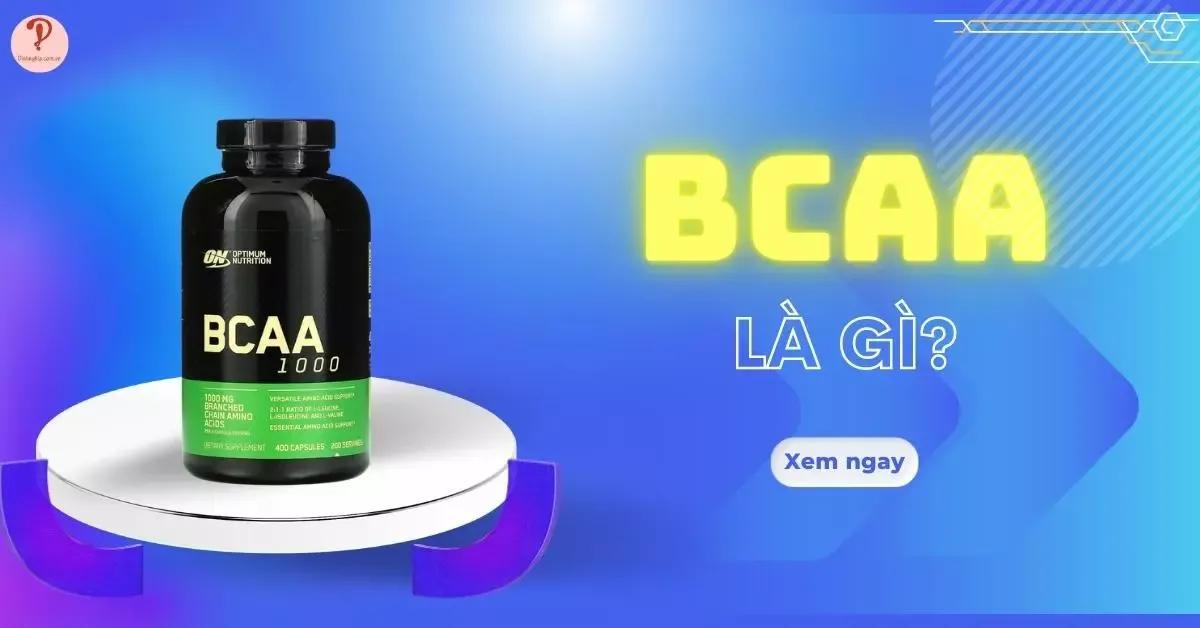 BCAA là gì? 6 tác dụng bất ngờ của BCAA và lưu ý khi dùng