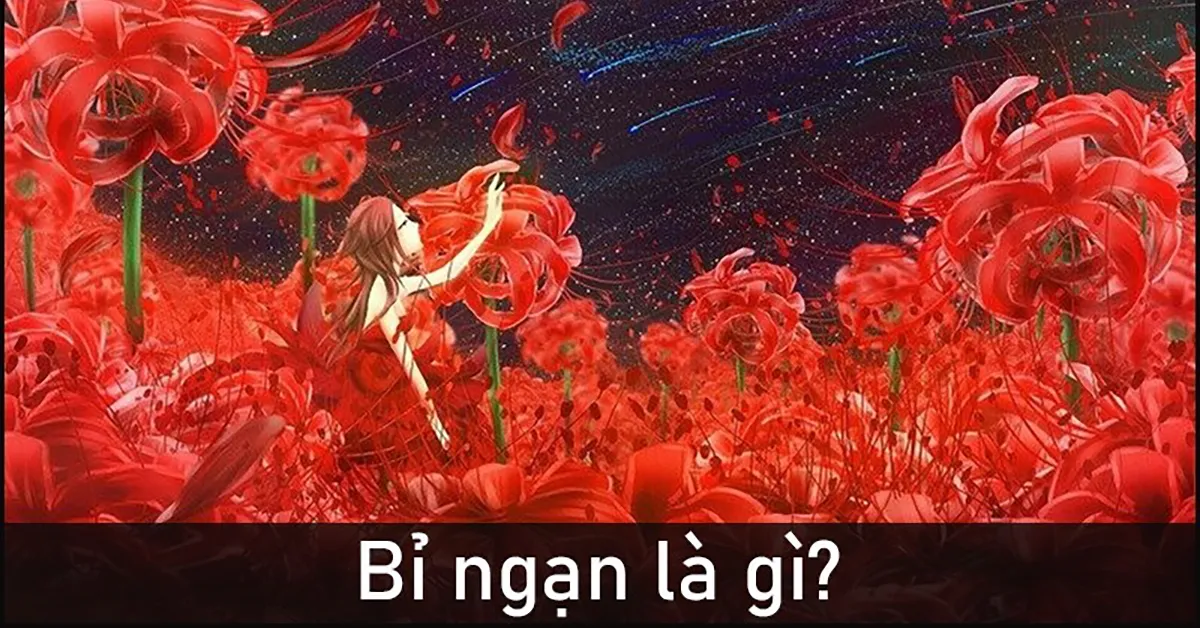 Bỉ ngạn là gì? Truyền thuyết, ý nghĩa, thơ về hoa bỉ ngạn