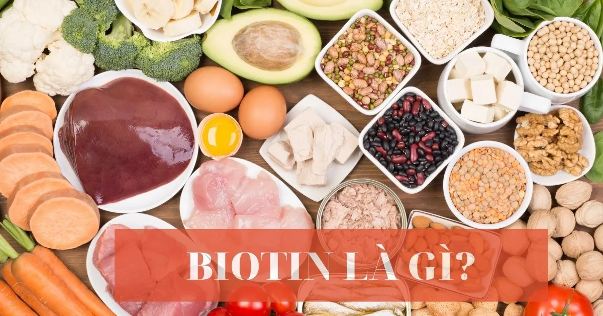 Biotin là gì? Tác dụng và Cách bổ sung Biotin cho cơ thể?