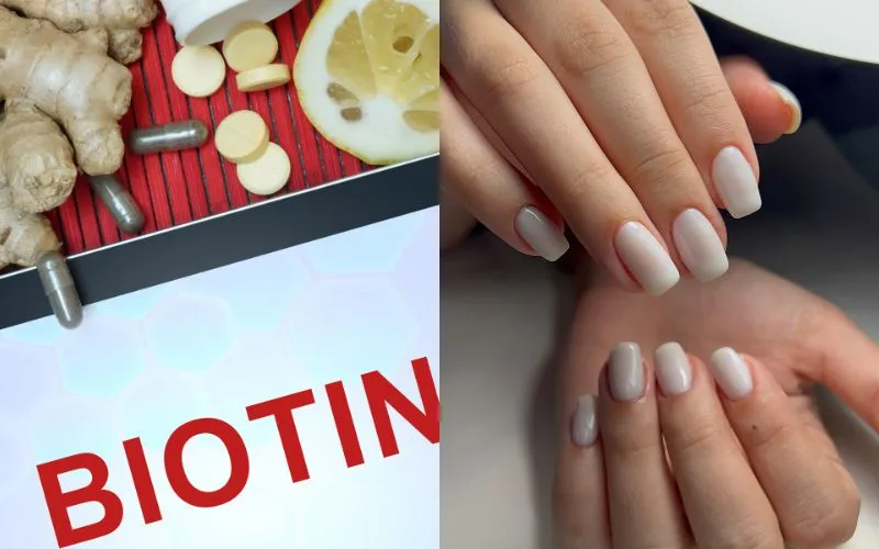 Biotin là gì? Tác dụng và Cách bổ sung Biotin cho cơ thể?