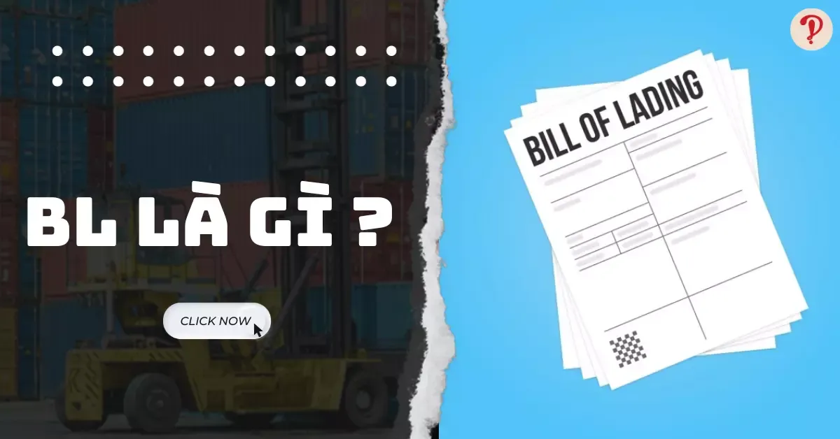 BL là gì? Bill of Lading là gì? Chức năng của vận đơn đường biển