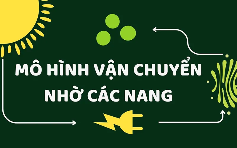 Bộ máy Gôngi là gì? Cấu trúc và chức năng của bộ máy Gôngi