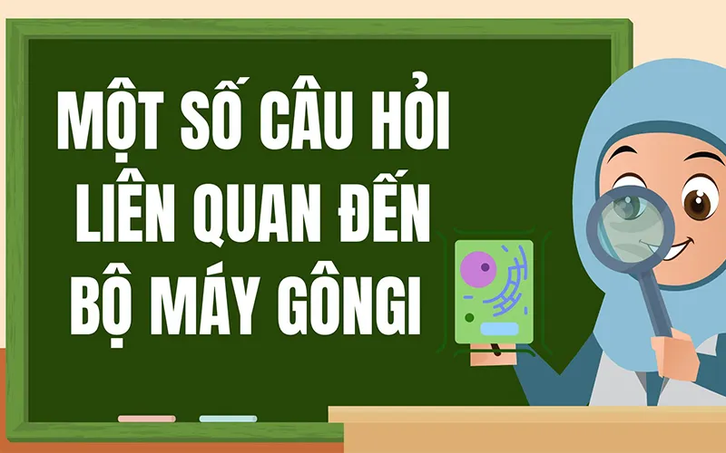 Bộ máy Gôngi là gì? Cấu trúc và chức năng của bộ máy Gôngi