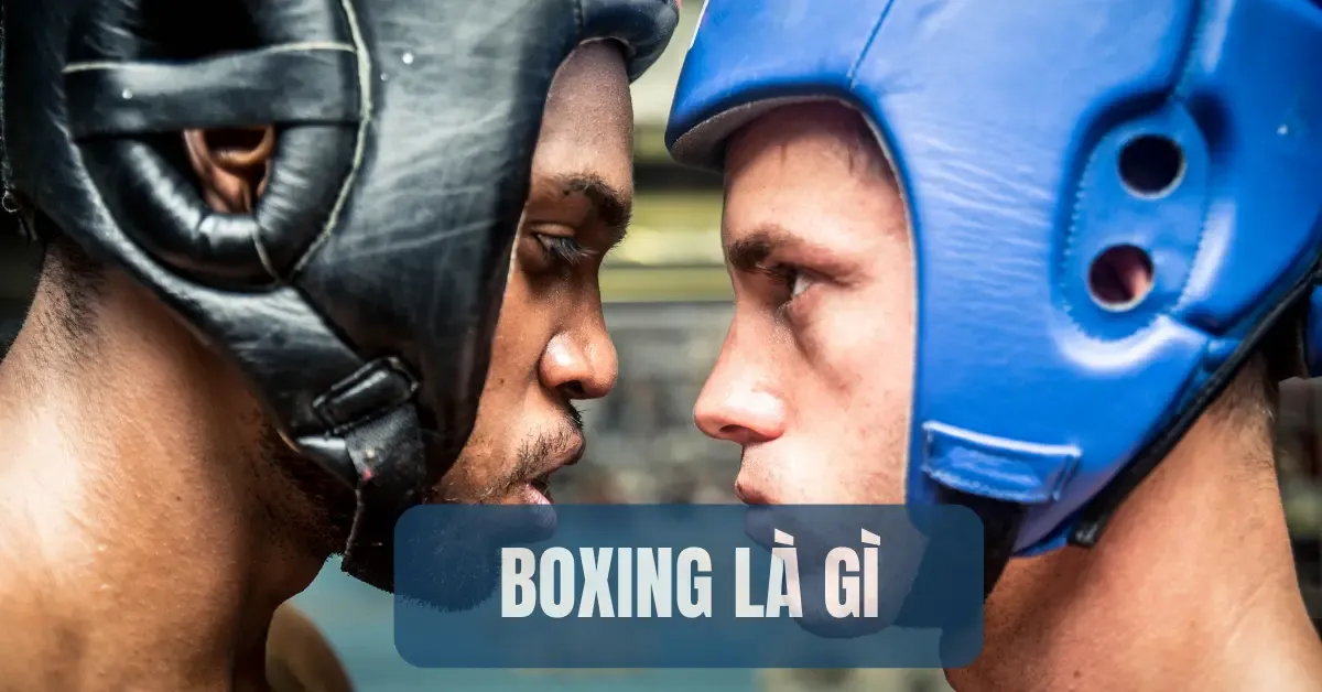 Boxing là gì? Một số lợi ích và thông tin quan trọng về boxing