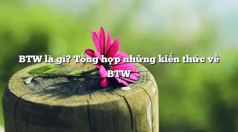 BTW là gì? Tổng hợp những kiến thức về BTW