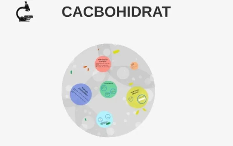 Cacbohidrat là gì? Những vai trò của cacbohidrat đối với cơ thể