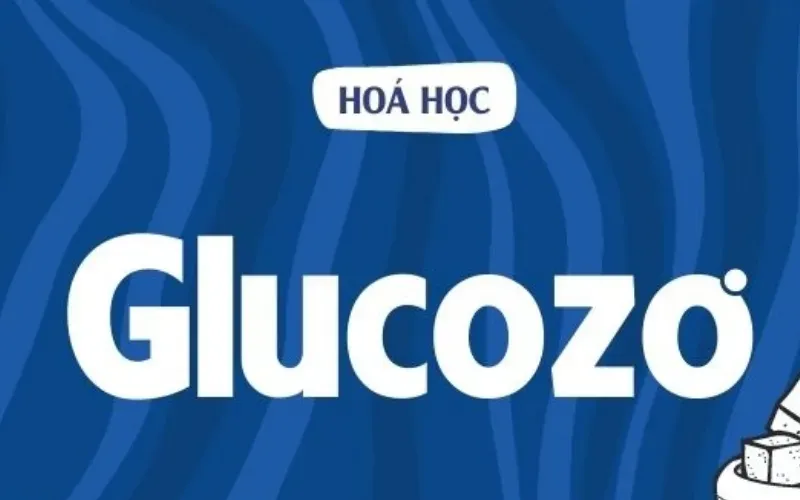 Cacbohidrat là gì? Những vai trò của cacbohidrat đối với cơ thể