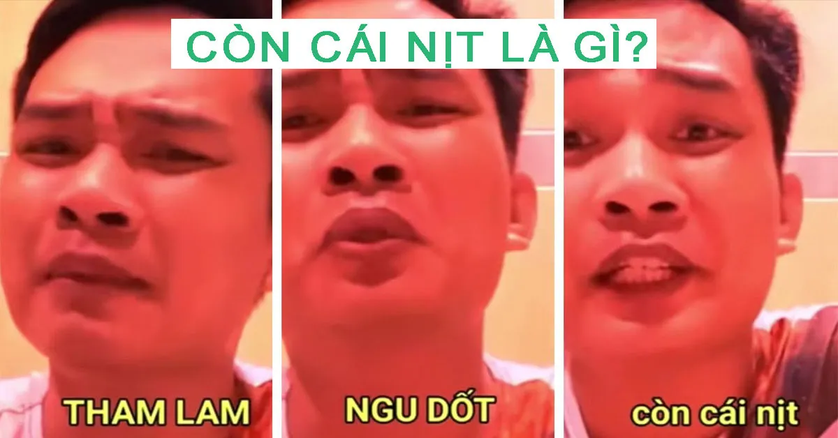 Cái nịt là gì? Còn đúng cái nịt nghĩa là gì?