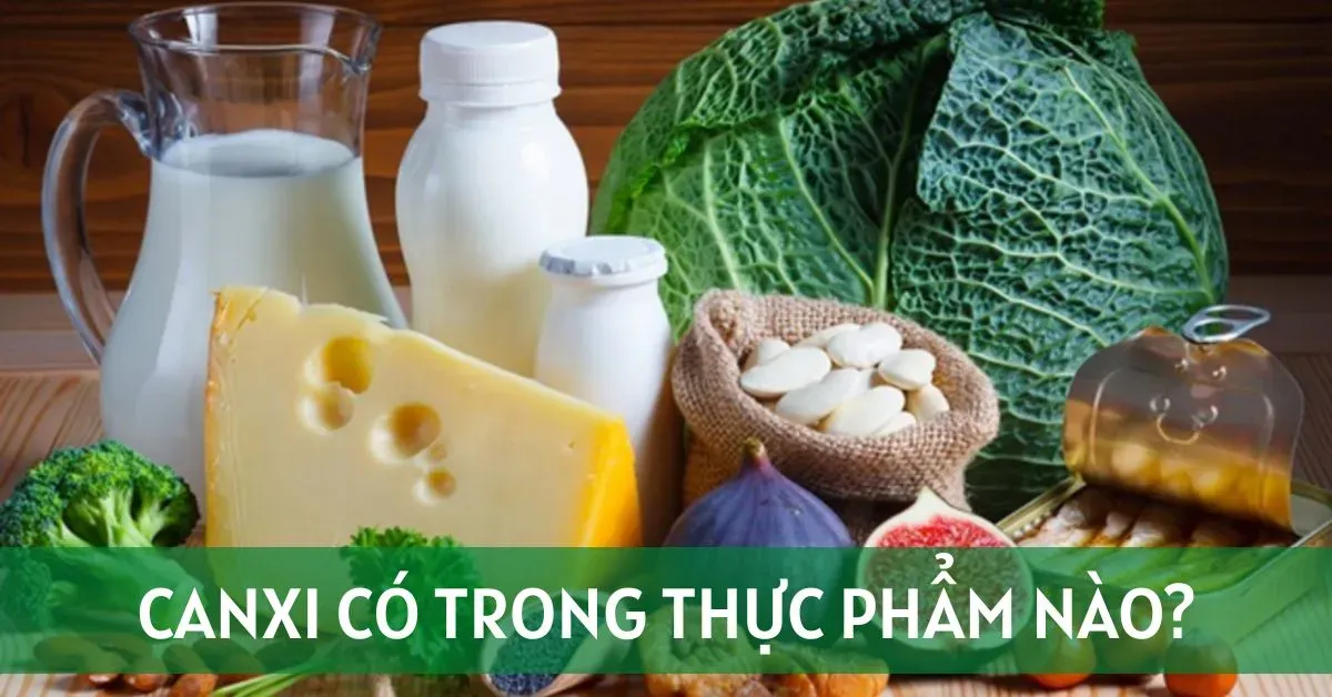 Canxi có ở thực phẩm nào ? 15 loại thực phẩm giàu canxi nhất