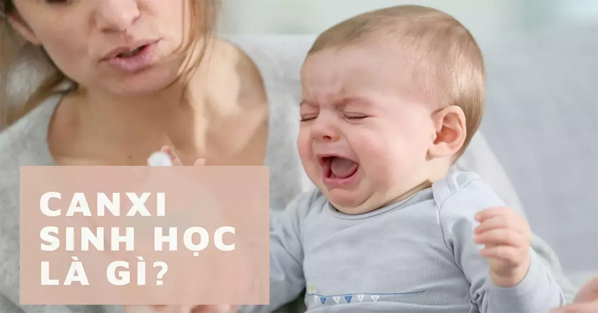 Canxi sinh học là gì? Nên dùng canxi sinh học công nghệ Lipocal?