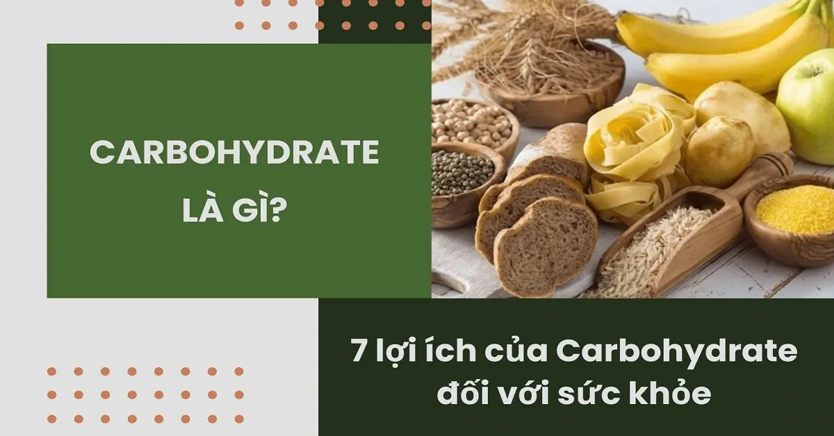 Carbohydrate là gì? 7 lợi ích của Carbohydrate đối với sức khỏe