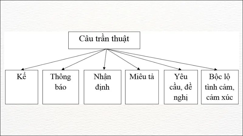 Câu trần thuật là gì? Đặc điểm, chức năng, ví dụ về câu trần thuật