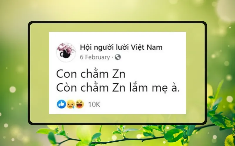 Chằm ZN là gì mà làm cho Gen Z thường xuyên sử dụng?