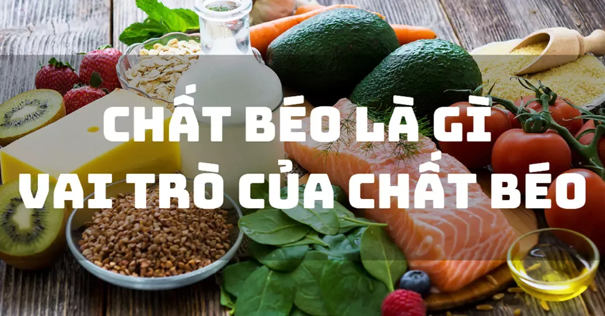 Chất béo là gì? Vai trò của chất béo với cơ thể