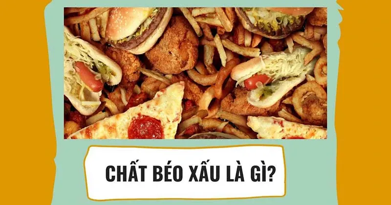 Chất béo xấu là gì? Chất béo xấu có trong thực phẩm nào?