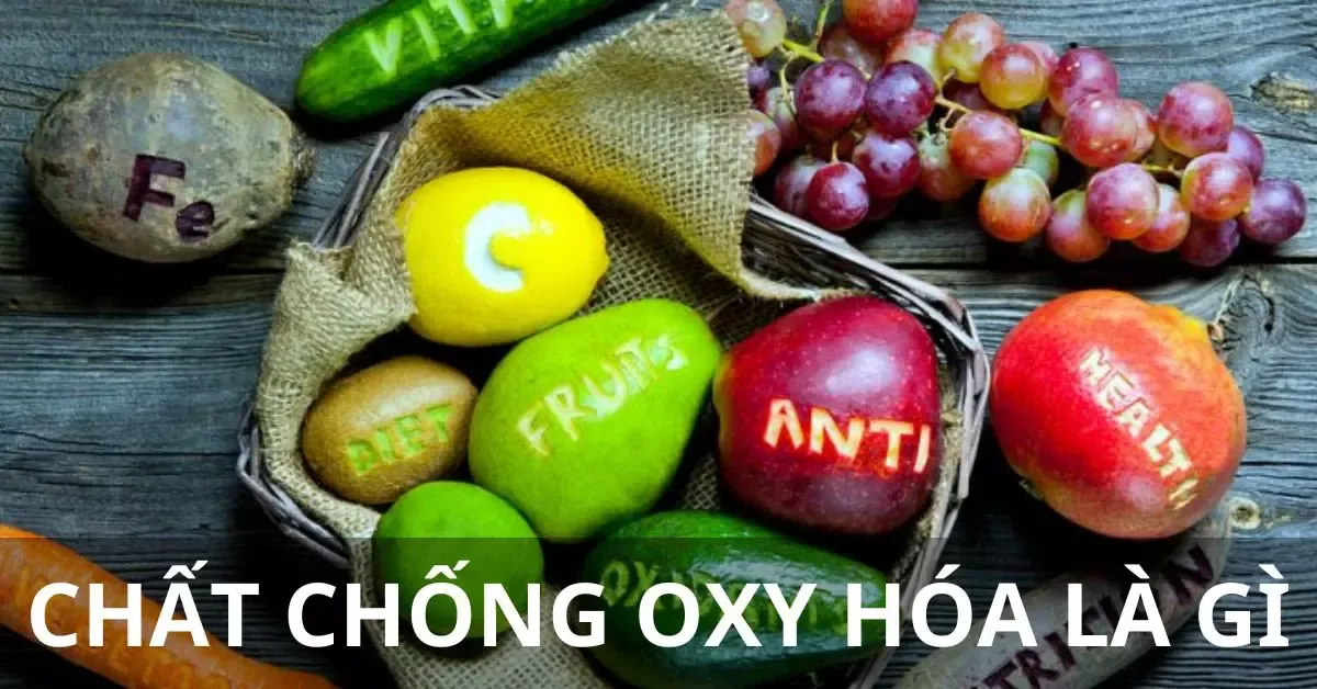 Chất chống oxy hóa là gì? Vai trò và Lợi ích đối với cơ thể?