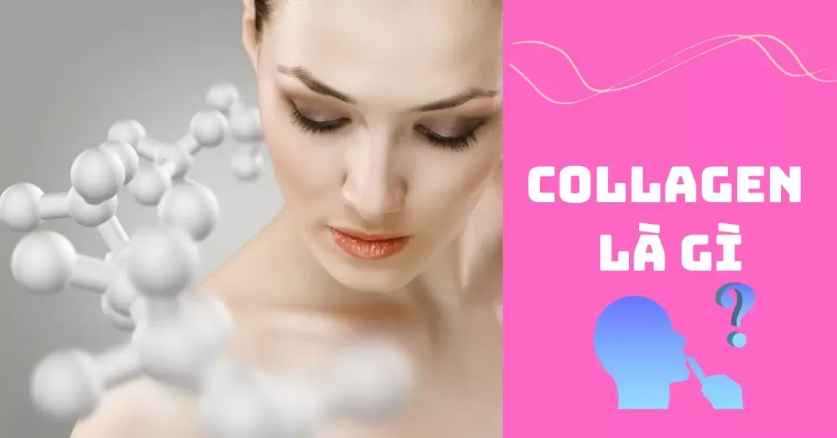 Collagen là gì? Tác dụng và cách bổ sung cho cơ thể