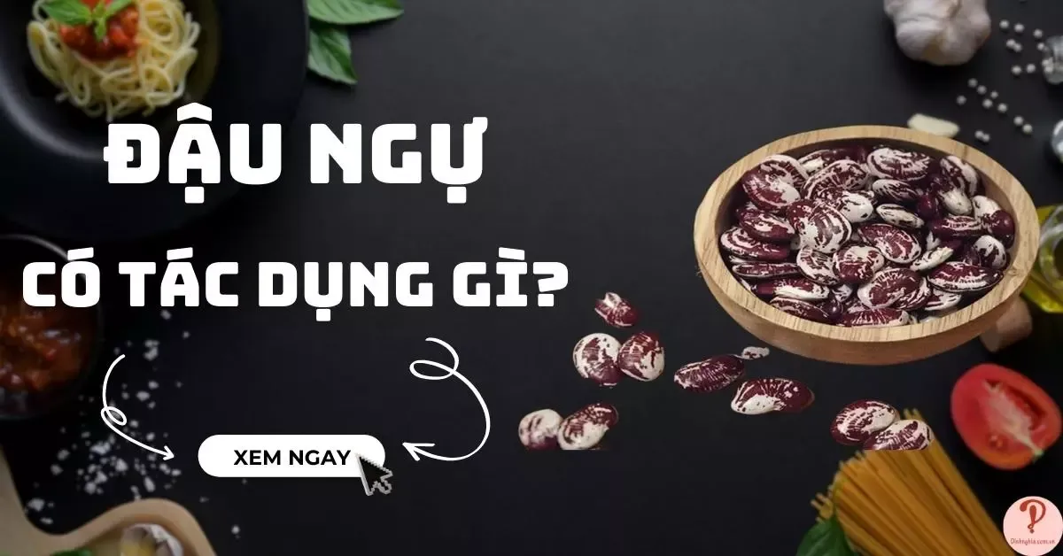 Đậu ngự là gì? Đậu ngự có tác dụng gì? Các món ngon từ đậu ngự