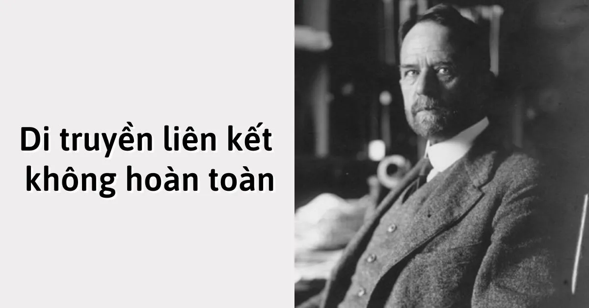 Di truyền liên kết không hoàn toàn là gì? Giải thích về thí nghiệm của Moocgan