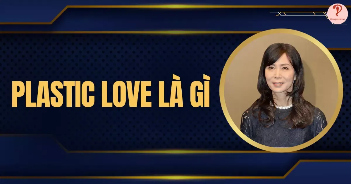 Định nghĩa Plastic Love là gì? Ý nghĩa của Plastic Love