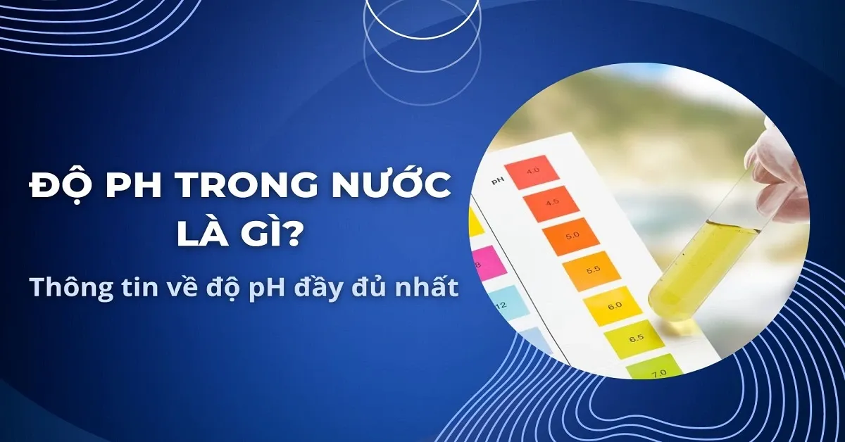 Độ pH trong nước là gì? Cách kiểm tra độ pH nguồn nước tại nhà?