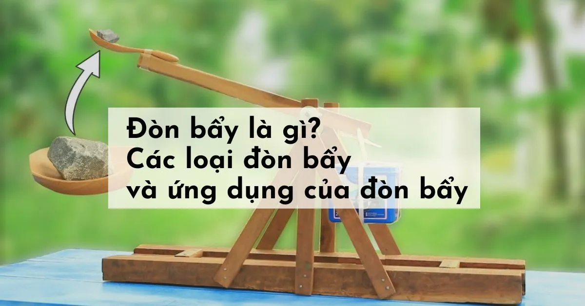 Đòn bẩy là gì? Các loại đòn bẩy và Ứng dụng của đòn bẩy