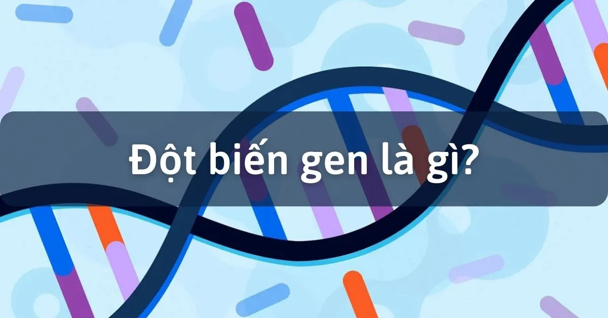 Đột biến gen là gì? Các dạng đột biến gen và Nguyên nhân gây đột biến gen