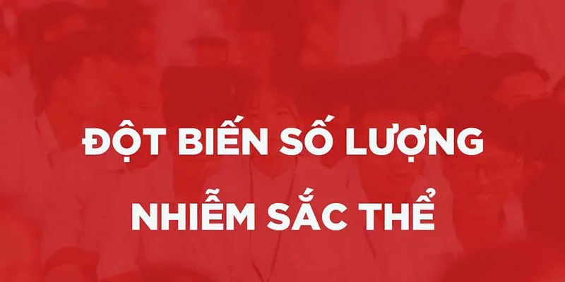 Đột biến số lượng nhiễm sắc thể là gì? Cách phân loại và Cơ chế phát sinh