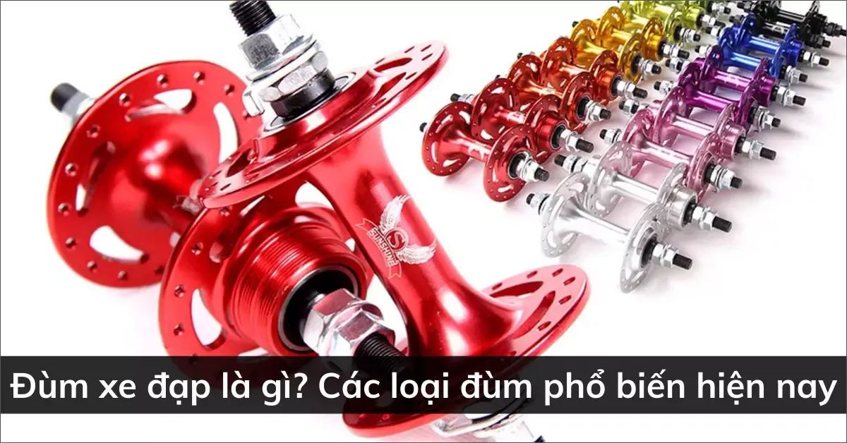 Đùm xe đạp là gì? Các loại đùm phổ biến hiện nay