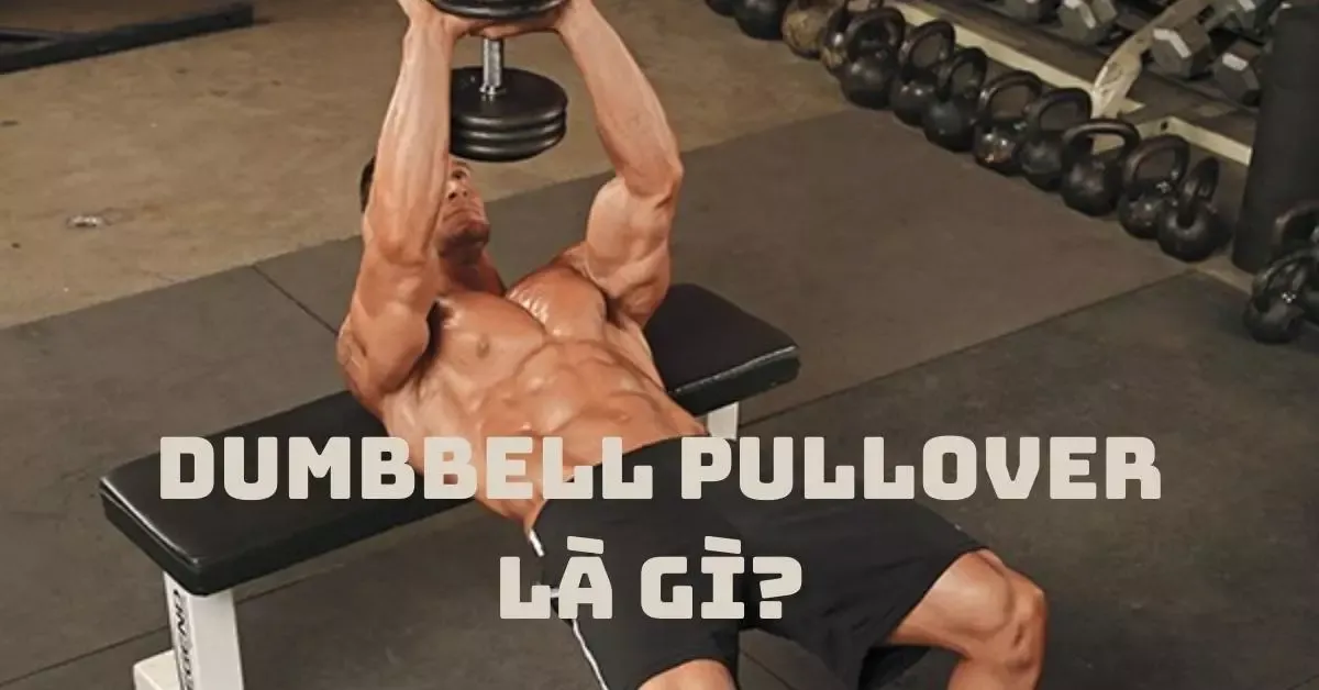 Dumbbell Pullover là gì? Cách tập vớt tạ để phát triển vòng 1