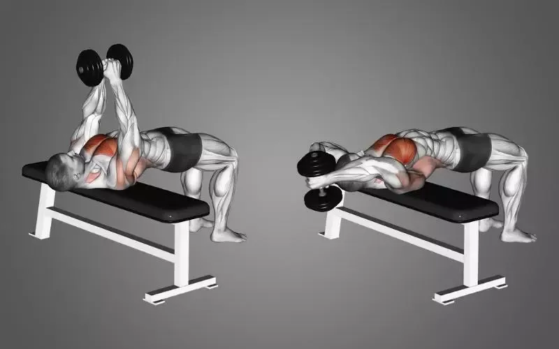 Dumbbell Pullover là gì? Cách tập vớt tạ để phát triển vòng 1