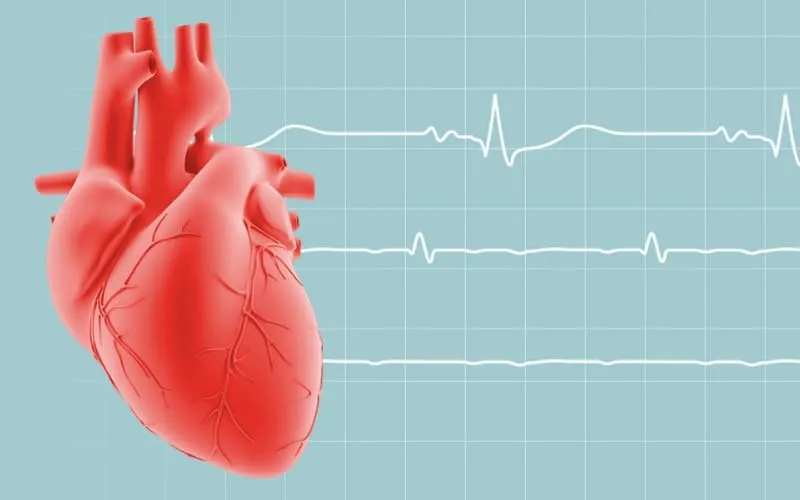 ECG là gì? Công dụng và tầm quan trọng của ECG bạn nên biết