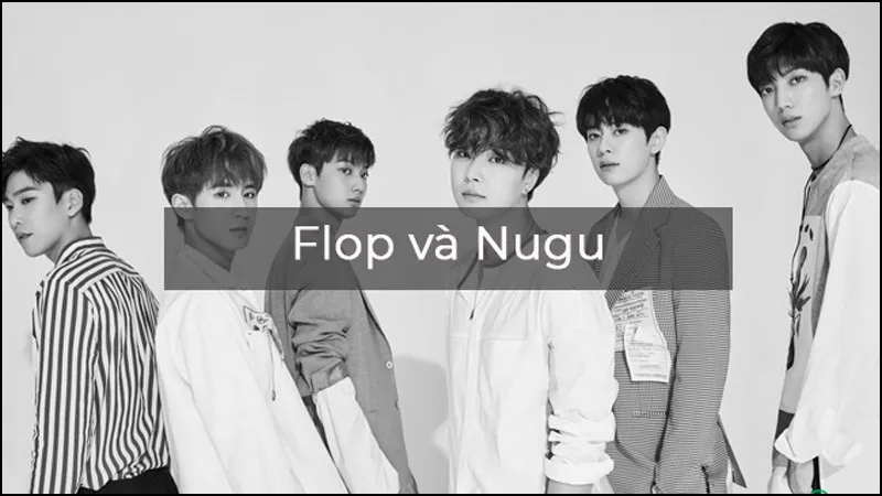 Flop là gì? Nghĩa của Flop trên Facebook và cộng đồng Kpop