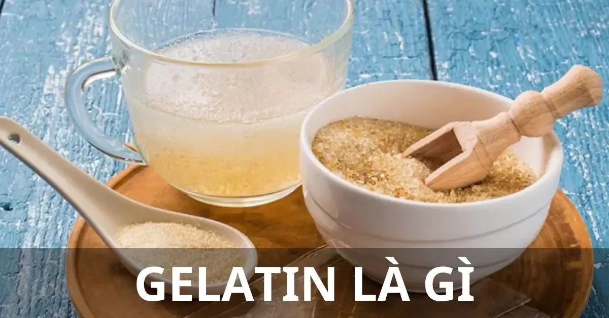 Gelatin là gì? Có giống bột rau câu không? Cách sử dụng gelatin