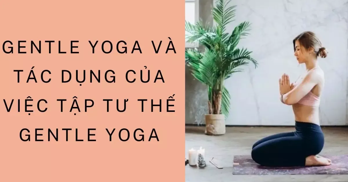 Gentle yoga là gì? Tác dụng của việc tập và tư thế gentle yoga