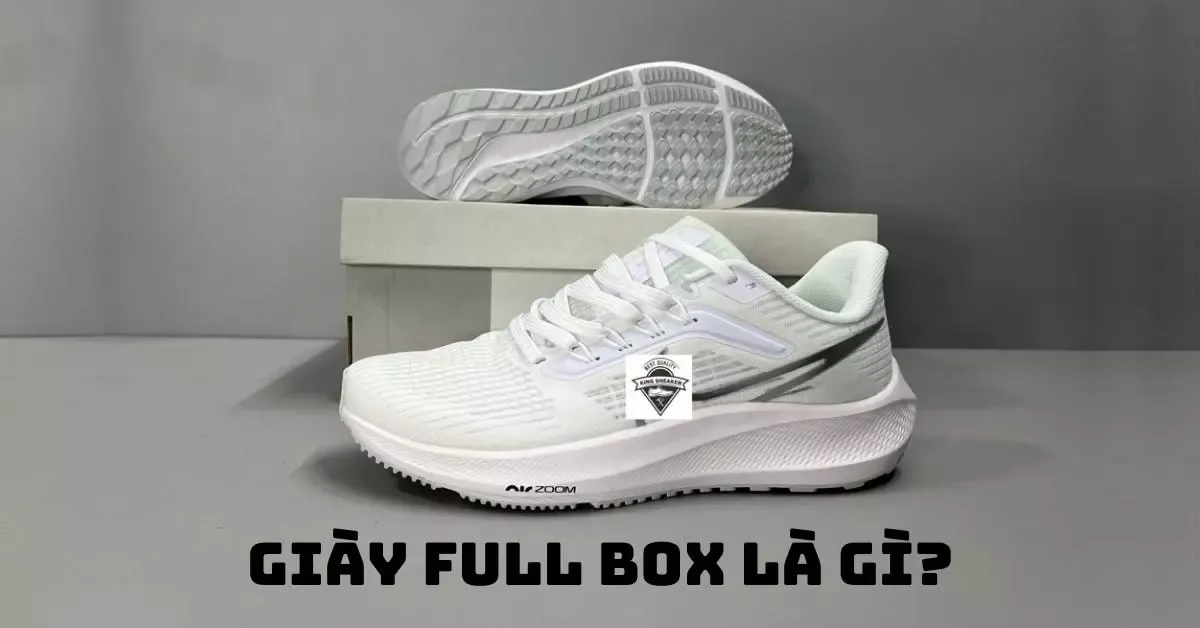 Giày Full box là gì? Tìm hiểu chi tiết giày Full box từ A đến Z ngay!