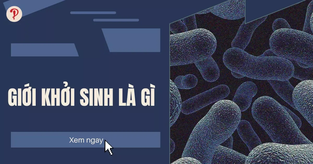 Giới khởi sinh là gì? Vai trò và đặc điểm của giới khởi sinh